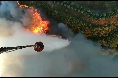 Kestel'deki orman yangını kontrol altına alındı