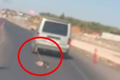Köpeği aracın arkasına bağlayarak sürükleyen şahıs yakalandı!