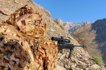 Gri listedeki terörist etkisiz hale getirildi