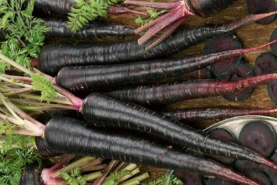 Siyah havuç suyunun faydaları şaşırtıyor