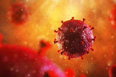 Corona virüs iç organlarda kalıcı hasara yol açabiliyor!