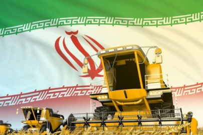 İran'da kuraklık: Her yıl 1,5 milyon hektar alan çölleşiyor