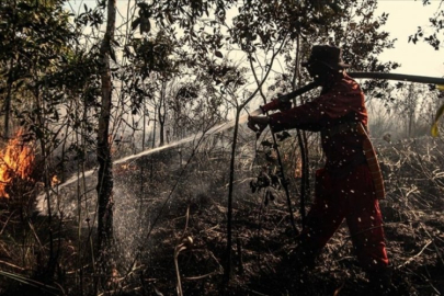Endonezya'nın Sumatra Adası'ndaki yangınlar hayatı olumsuz etkilliyor