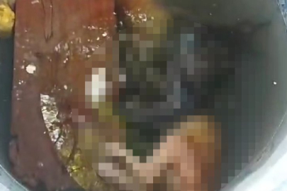 Su dolu varilde 4 kedi ölüsü bulundu!