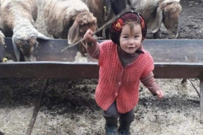 3 yaşındaki Müslüme Yağal'ın ölümüne ilişkin davada gelişme!
