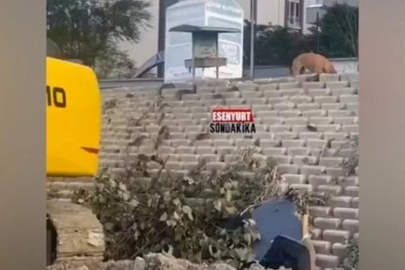 İstanbul'da devasa lağım fareleri bir sokağı istila etti