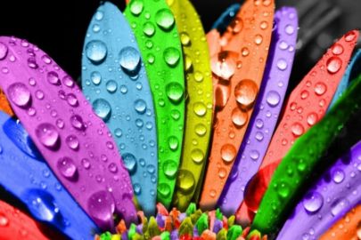 Hangi renk neyi temsil eder?