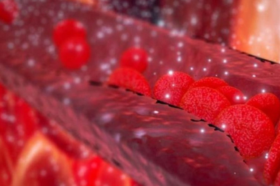 Kan yağları neden yükselir?