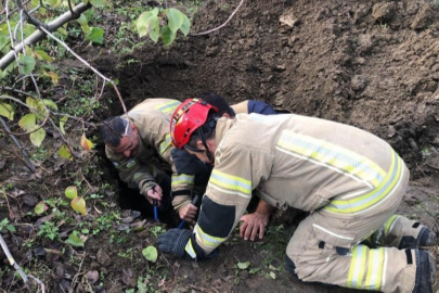 Bursa'da su kuyusuna düşen kuzuyu itfaiye ekipleri kurtardı