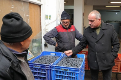 Başkan Sertaslan devreye girdi, fiyatlar arttı