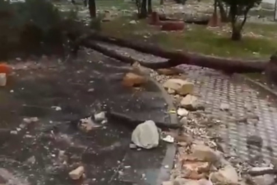 Bursa'da lodos ve fırtına ortalığı birbirine kattı!