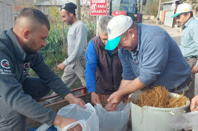 Tarımda Dünya Markası Mustafakemalpaşa” gerçek oluyor