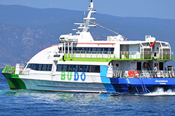 BUDO'da tüm seferler iptal!