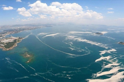 Marmara Denizi için tehlike çanları çalıyor!