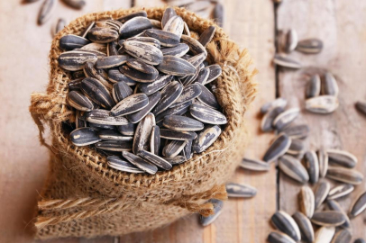 Çekirdeğin bağımlılık sebebi bakın neymiş