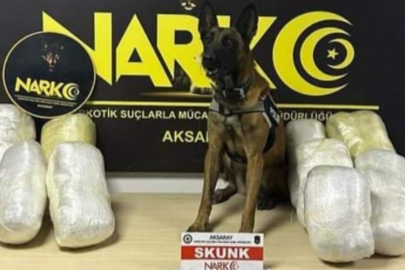 Aksaray'da narkotik köpeği Bixi buldu! Salatalıkların arasından uyuşturucu çıktı