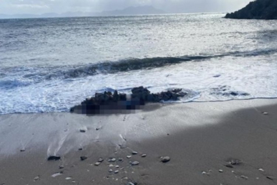 Bodrum'da 2 erkek cesedi bulundu!