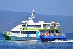 BUDO'nun tüm seferleri iptal!