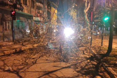 Bursa'da devrilen ağaç yolu trafiğe kapattı