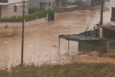 Yalova'da taşan dere, evleri bastı