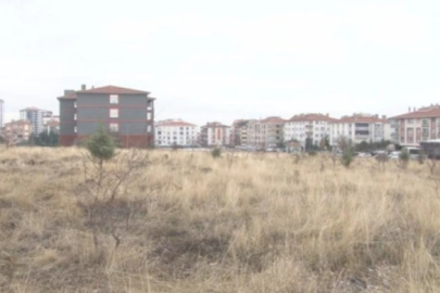 Ankara'da sokak köpekleri küçük Tunahan'ı parçaladı! Hayvansever kadın suçun çocukta olduğunu söyledi