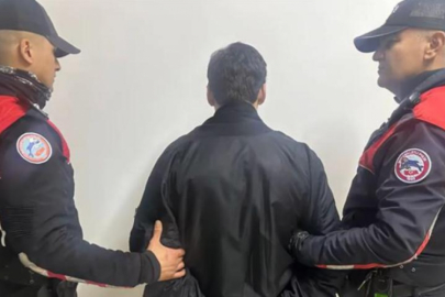 Kedilere eziyet eden 'C31K' isimli topluluğa operasyon!