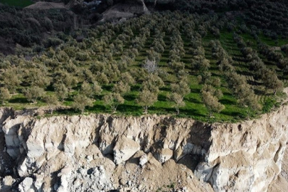 Hatay'da zeytinlikte oluşan 400 metrelik yarık, depremin simgelerinden oldu