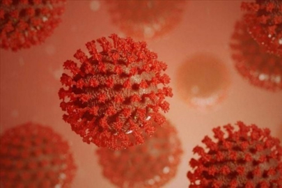 Pemfigus hastalığı nedir, neden olur? Pemfigus hastalığının belirtileri nelerdir?