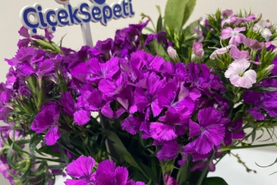 Sevgililer Günü'nde Çiçek Sepeti rezaleti