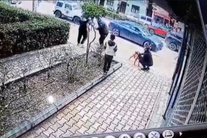 Antalya'da çaldığı köpeğin sahibine ve polise bıçak çekti, gözaltına alındı