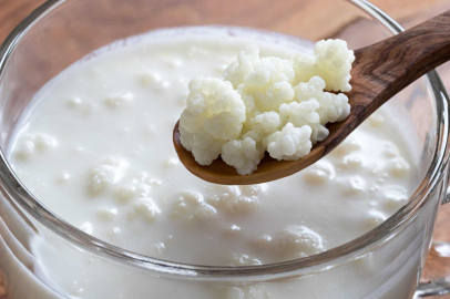 Günde 1 bardak içen şifa buluyor! Kefir içmek bakın nelere iyi geliyor...