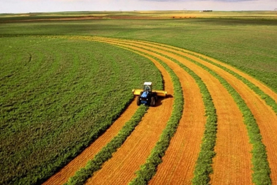 Türkiye'den mevsimlik tarım işçisi alacaklar!