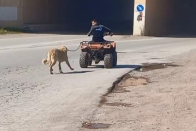 Bursa'da ATV'sine bağladığı köpeğini sürükledi