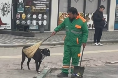 Temizlik görevlisi ve sokak köpeğinin anları yüzleri gülümsetti
