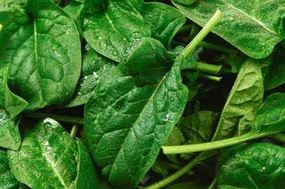 Ispanağın faydaları saymakla bitmiyor! Ispanak bakın nelere iyi geliyormuş...