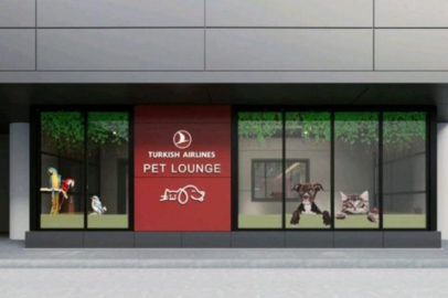 THY İstanbul Havalimanı'nda PET LOUNGE kuracak