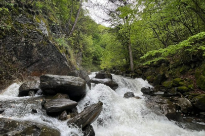 Bursa'nın en gözde şelaleri hangileri? Doğayla iç içe trekking rotaları...