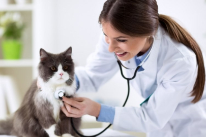 Dünya Veteriner Hekimler Günü ne zaman? Dünya Veteriner Hekimler Günü neden kutlanır?