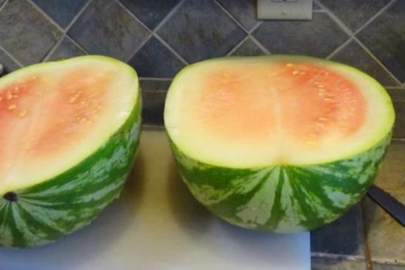 Karpuzu kelek çıkan yaşadı! Delili saklayan tazminatını alıyor...