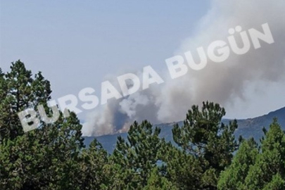 Bursa Orhaneli'nde yangın!