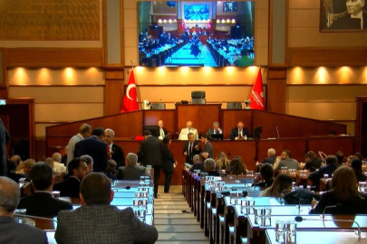 İBB Meclisi'nde başıboş köpek tartışması