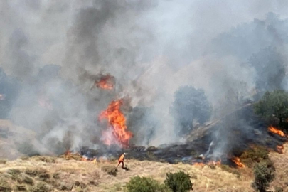 Bingöl'de iki ilçede orman yangını