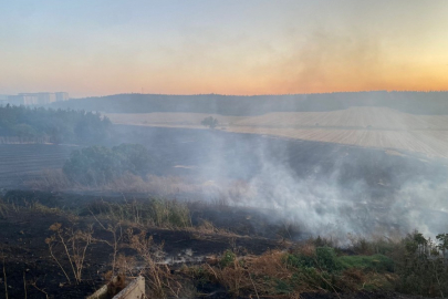 Uludağ Üniversitesi yerleşkesindeki yangın söndürüldü!