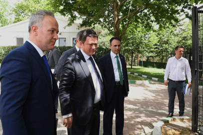 6 ayda 2170 kedi ve köpek kısırlaştırıldı