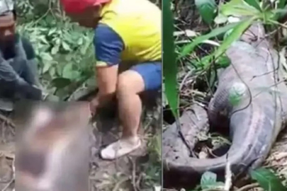 Endonezya’da dev piton ilaç almaya giden kadını yuttu