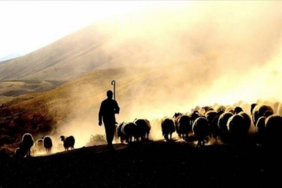 Afgan çoban polemiği alevlendi!