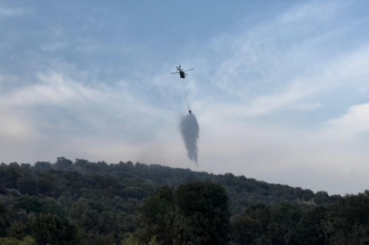 Diyarbakır'daki orman yangınları helikopter desteğiyle kontrol altına alındı