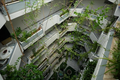 İzmir'de apartman avlusunu botanik bahçesine çevirdiler