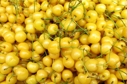 Bir tanesi bile etkili! Beyaz kiraz yemek bakın ne işe yarıyor...