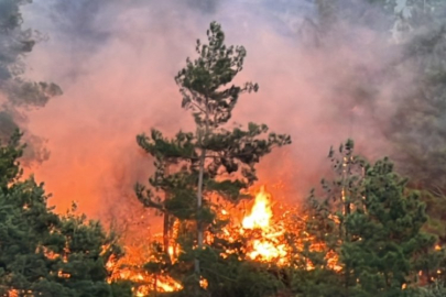 Kahramanmaraş'taki orman yangınına müdahale sürüyor